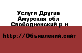 Услуги Другие. Амурская обл.,Свободненский р-н